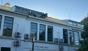 Verano en el Williams