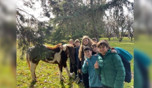 Sumergirse en el idioma