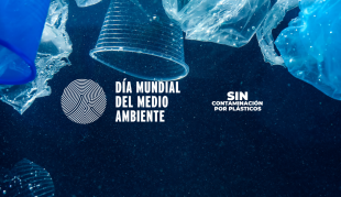 Vencé a la contaminación por plásticos